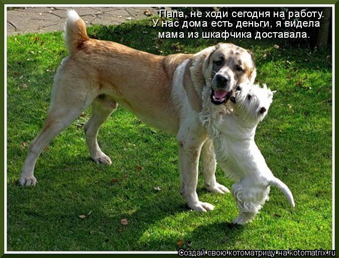Папа, не ходи сегодня на работу. У нас дома есть деньги, я видела мама из шкафчика доставала.... Котоматрица: Папа, не ходи сегодня на работу. У нас дома есть деньги, я видела мама из шкафчика доставала.
