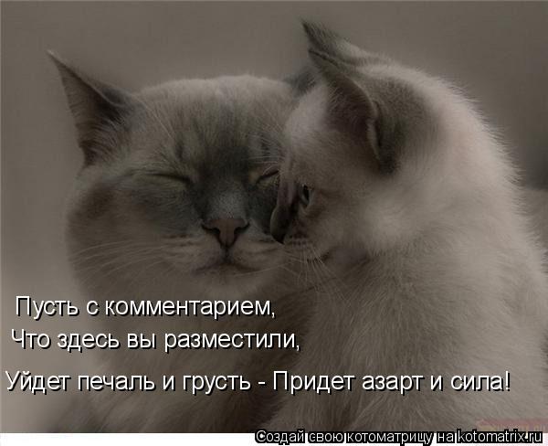 Пусть с комментарием, Что здесь вы разместили, Уйдет печаль и грусть - Придет азарт и сила!... Котоматрица: Пусть с комментарием, Что здесь вы разместили, Уйдет печаль и грусть - Придет азарт и сила!