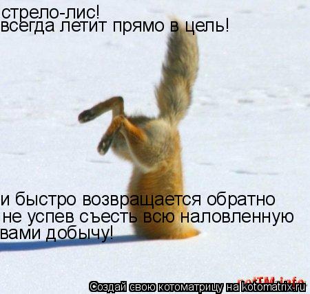 Котоматрица: стрело-лис! всегда летит прямо в цель! и быстро возвращается обратно не успев съесть всю наловленную вами добычу!