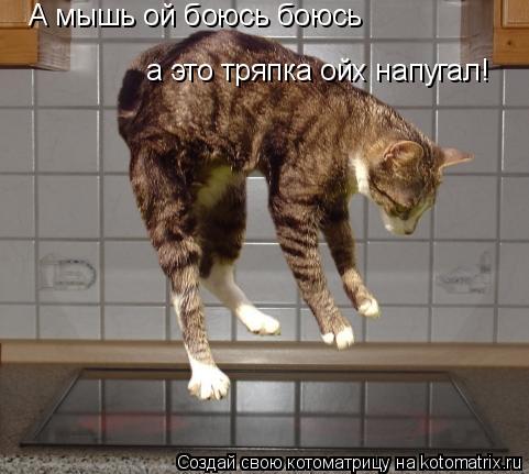 А мышь ой боюсь боюсь а это тряпка ойх напугал!... Котоматрица: А мышь ой боюсь боюсь а это тряпка ойх напугал!