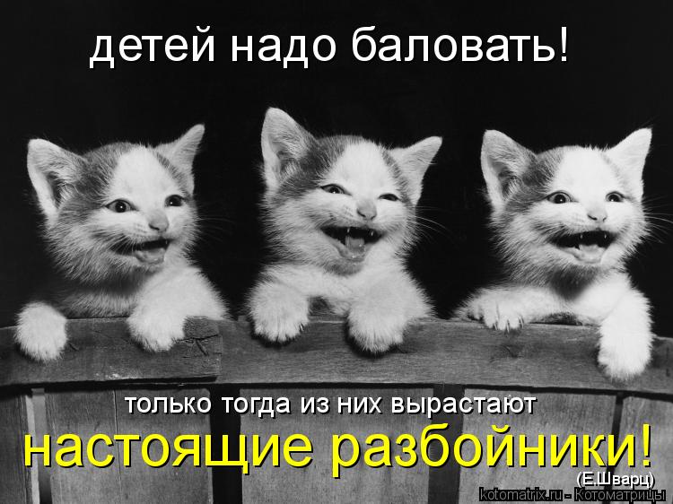 Котоматрица: только тогда из них вырастают детей надо баловать! (Е.Шварц) настоящие разбойники!