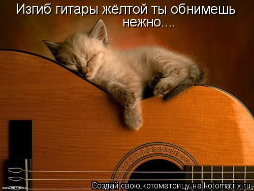 Изгиб гитары жёлтой ты обнимешь нежно....... Котоматрица: Изгиб гитары жёлтой ты обнимешь нежно....