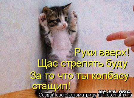 Руки вверх! Щас стрелять буду За то что ты колбасу стащил!... Котоматрица: Руки вверх! Щас стрелять буду За то что ты колбасу стащил!