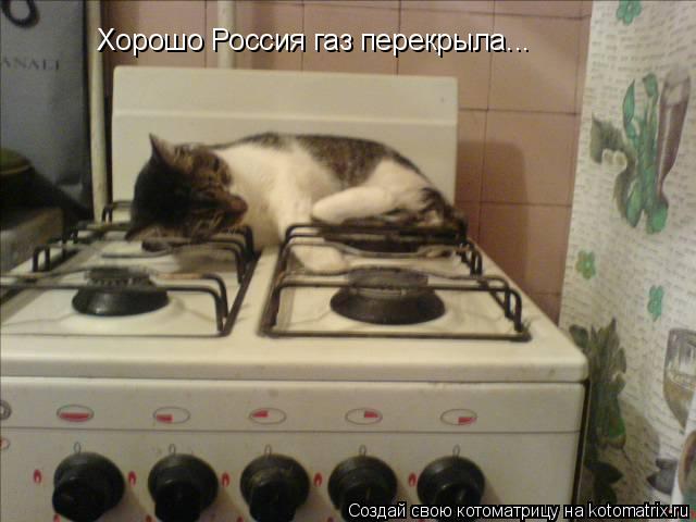 Хорошо Россия газ перекрыла...... Котоматрица: Хорошо Россия газ перекрыла...