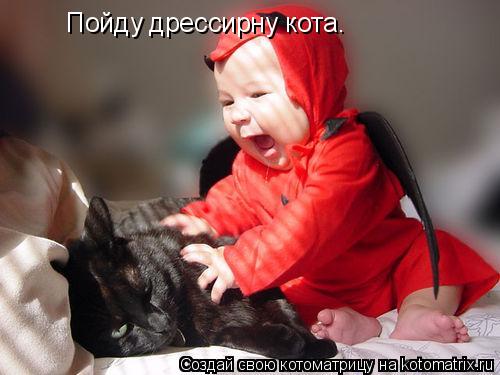 Котоматрица: Пойду дрессирну кота.