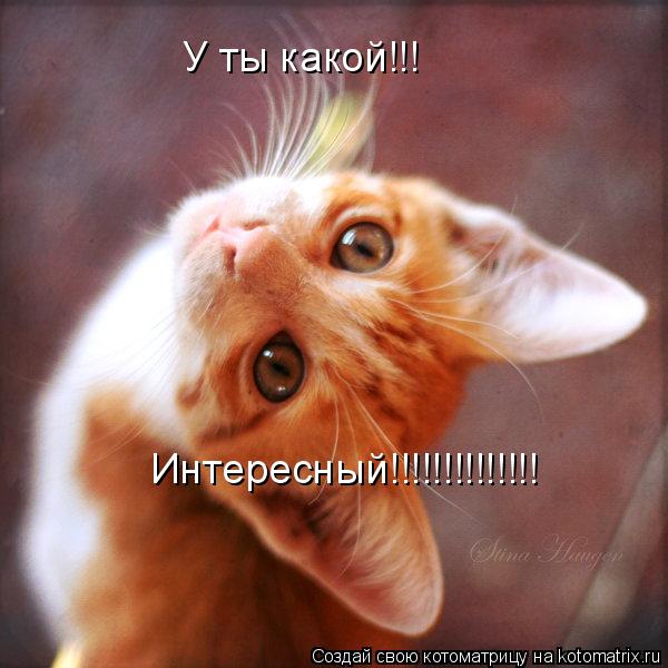 У ты какой!!! Интересный!!!!!!!!!!!!!!... Котоматрица: У ты какой!!! Интересный!!!!!!!!!!!!!!