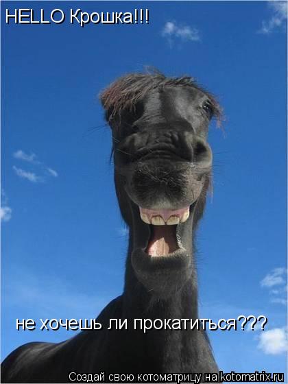 HELLO Крошка!!! не хочешь ли прокатиться???... Котоматрица: HELLO Крошка!!! не хочешь ли прокатиться???