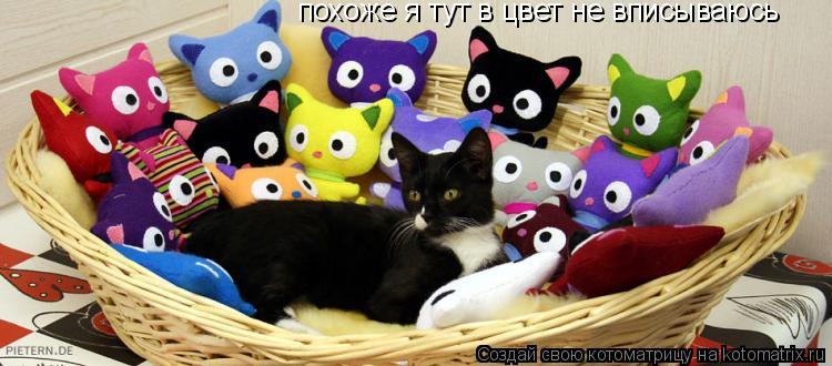 похоже я тут в цвет не вписываюсь... Котоматрица: похоже я тут в цвет не вписываюсь