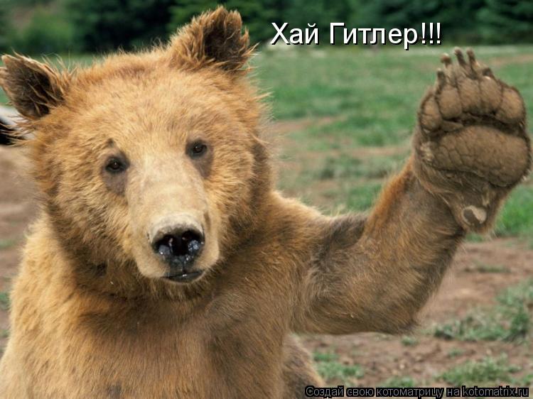 Хай Гитлер!!!... Котоматрица: Хай Гитлер!!!