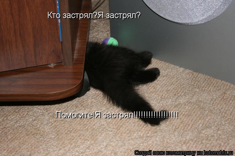 Кто застрял?Я застрял? Помогите!Я застрял!!!!!!!!!!!!!!!!!!... Котоматрица: Кто застрял?Я застрял? Помогите!Я застрял!!!!!!!!!!!!!!!!!!