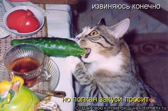 извиняюсь конечно но полкан закуси просит... Котоматрица: извиняюсь конечно но полкан закуси просит