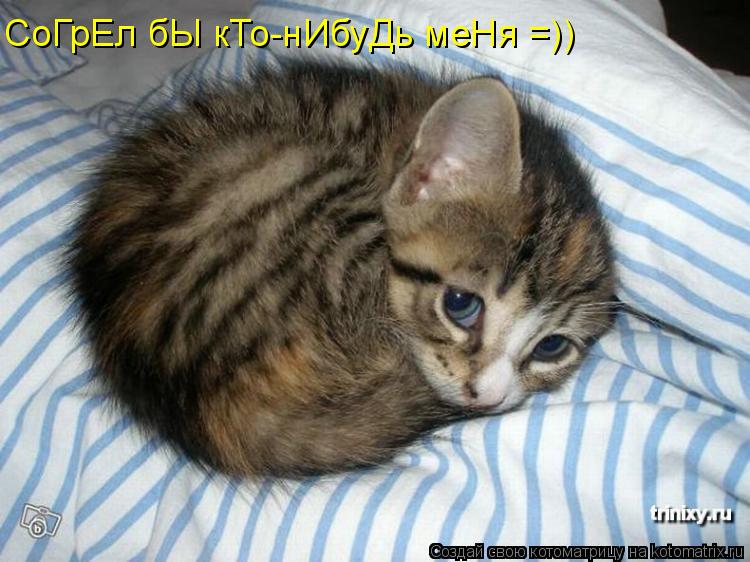 СоГрЕл бЫ кТо-нИбуДь меНя =))... Котоматрица: СоГрЕл бЫ кТо-нИбуДь меНя =))