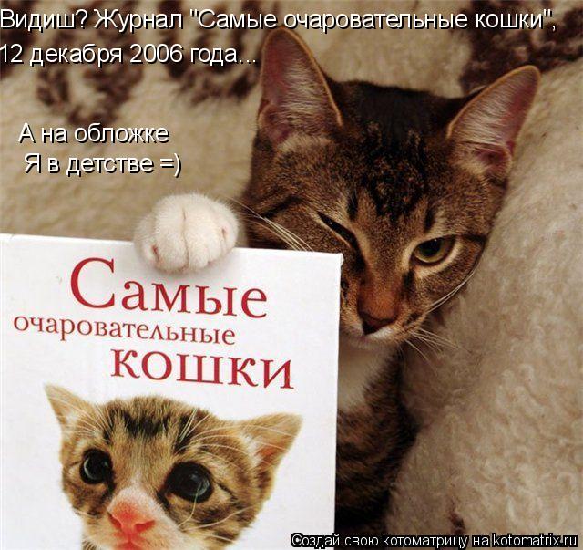 Видиш? Журнал "Самые очаровательные кошки", 12 декабря 2006 года... Я в детстве =) А на обложке... Котоматрица: Видиш? Журнал "Самые очаровательные кошки", 12 декабря 2006 года... Я в детстве =) А на обложке