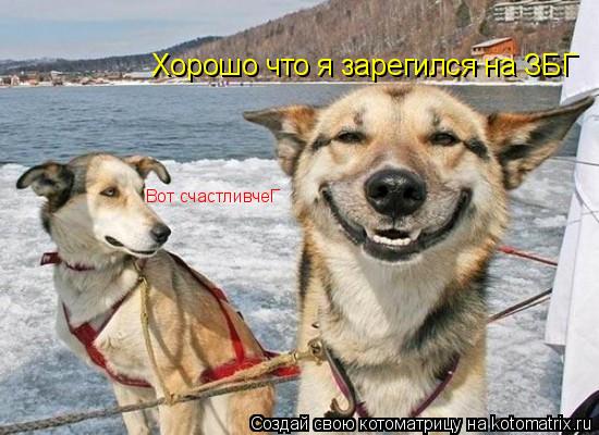 Котоматрица: Хорошо что я зарегился на ЗБГ Вот счастливчеГ