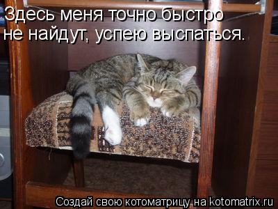 Котоматрица: Здесь меня точно быстро не найдут, успею выспаться.