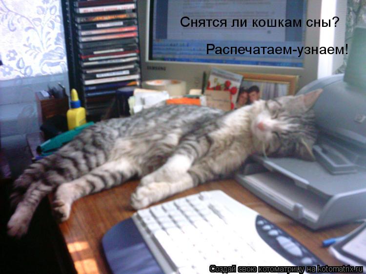 Снятся ли кошкам сны? Распечатаем-узнаем!... Котоматрица: Снятся ли кошкам сны? Распечатаем-узнаем!
