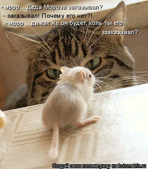 Котоматрица: - мррр... Деда Мороза заказывал? - заказывал! Почему его нет?!. - мррр... да как же он будет, коль ты его  ззаказааал?..