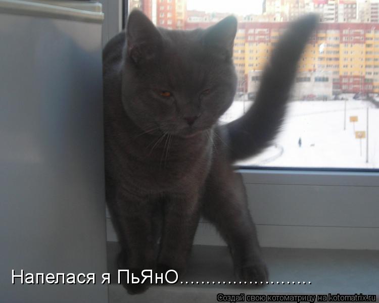 Котоматрица: Напелася я ПьЯнО.........................