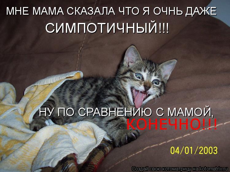 МНЕ МАМА СКАЗАЛА ЧТО Я ОЧНЬ ДАЖЕ СИМПОТИЧНЫЙ!!! НУ ПО СРАВНЕНИЮ С МАМОЙ, КОНЕЧНО!!!... Котоматрица: МНЕ МАМА СКАЗАЛА ЧТО Я ОЧНЬ ДАЖЕ СИМПОТИЧНЫЙ!!! НУ ПО СРАВНЕНИЮ С МАМОЙ, КОНЕЧНО!!!