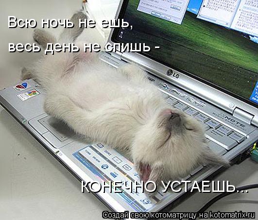 Всю ночь не ешь, весь день не спишь - КОНЕЧНО УСТАЕШЬ...... Котоматрица: Всю ночь не ешь, весь день не спишь - КОНЕЧНО УСТАЕШЬ...