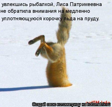 увлекшись рыбалкой, Лиса Патрикеевна не обратила внимания на медленно уплотняющуюся корочку льда на ... Котоматрица: увлекшись рыбалкой, Лиса Патрикеевна не обратила внимания на медленно уплотняющуюся корочку льда на пруду.