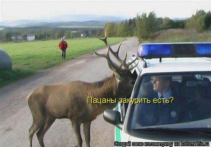 Котоматрица: Пацаны закурить есть?