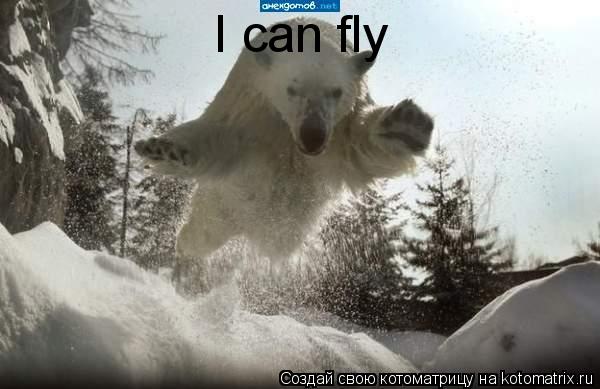 I can fly... Котоматрица: I can fly
