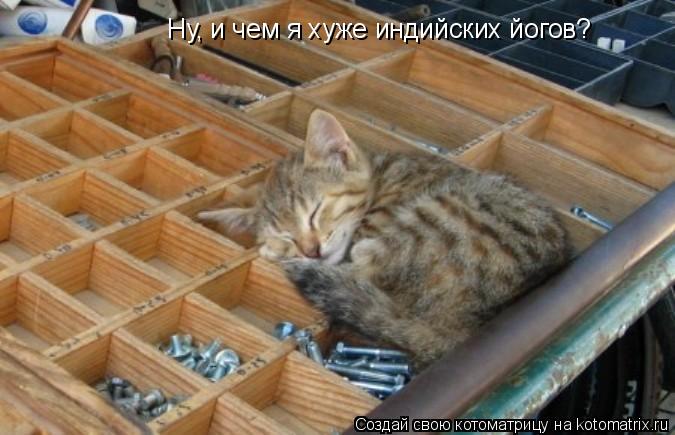 Ну, и чем я хуже индийских йогов?... Котоматрица: Ну, и чем я хуже индийских йогов?