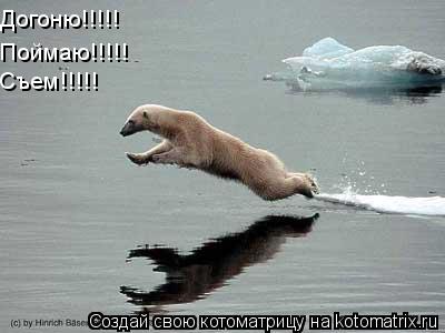 Догоню!!!!! Догоню!!!!! Поймаю!!!!! Съем!!!!!... Котоматрица: Догоню!!!!! Догоню!!!!! Поймаю!!!!! Съем!!!!!