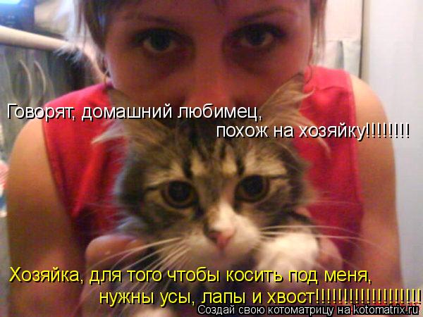 Котоматрица: нужны усы, лапы и хвост!!!!!!!!!!!!!!!!!!! Хозяйка, для того чтобы косить под меня, Говорят, домашний любимец,  похож на хозяйку!!!!!!!!