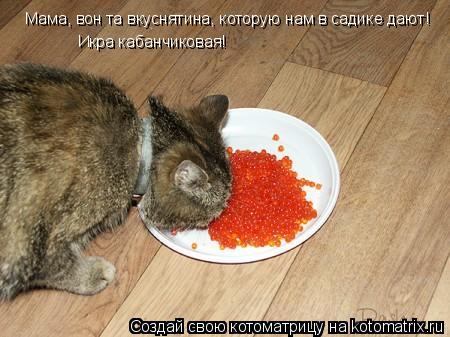 Котоматрица: Мама, вон та вкуснятина, которую нам в садике дают!  Икра кабанчиковая!