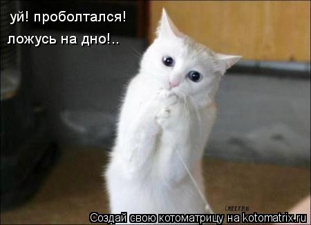 уй! проболтался! ложусь на дно!..... Котоматрица: уй! проболтался! ложусь на дно!..