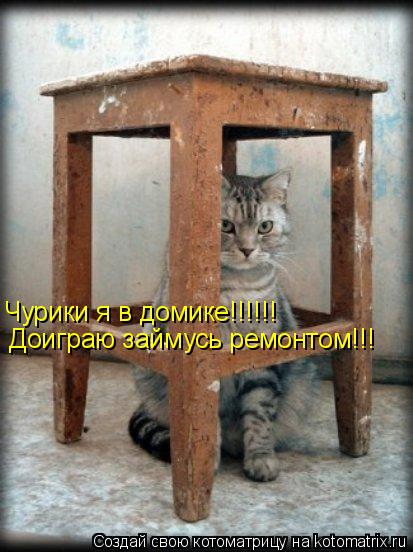 Чурики я в домике!!!!!! Доиграю займусь ремонтом!!!... Котоматрица: Чурики я в домике!!!!!! Доиграю займусь ремонтом!!!