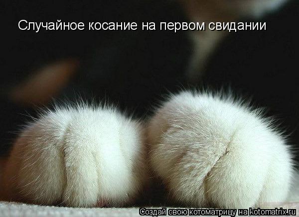 Котоматрица: Случайное косание на первом свидании