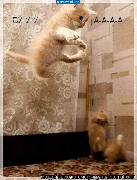 БУ-У-У А-А-А-А... Котоматрица: БУ-У-У А-А-А-А
