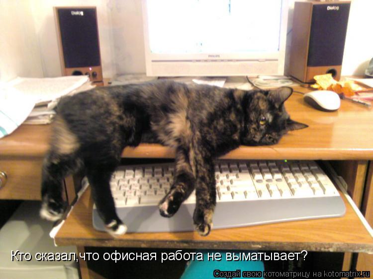 Котоматрица: Кто сказал,что офисная работа не выматывает?