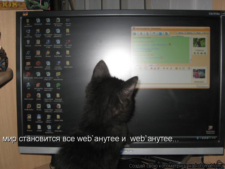 Котоматрица: мир становится все web`анутее и  web`анутее...