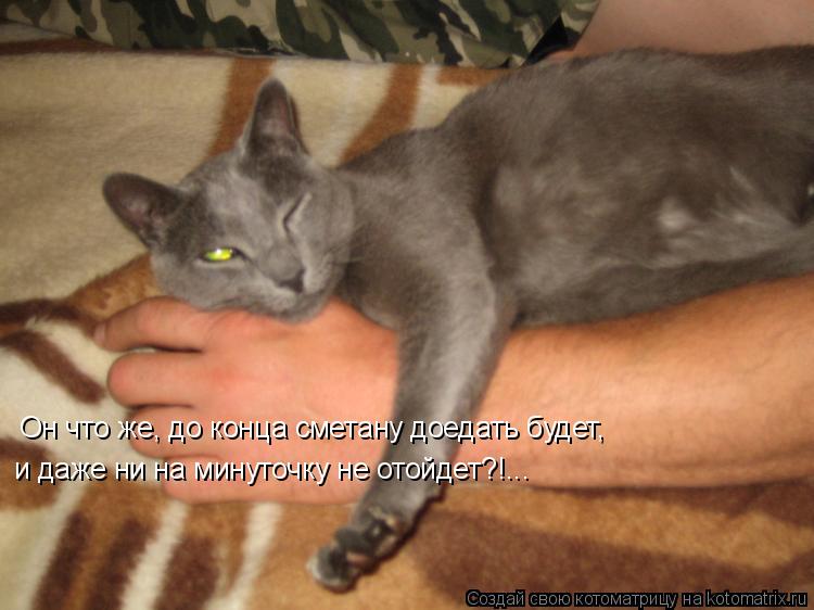 Котоматрица: Он что же, до конца сметану доедать будет, и даже ни на минуточку не отойдет?!...
