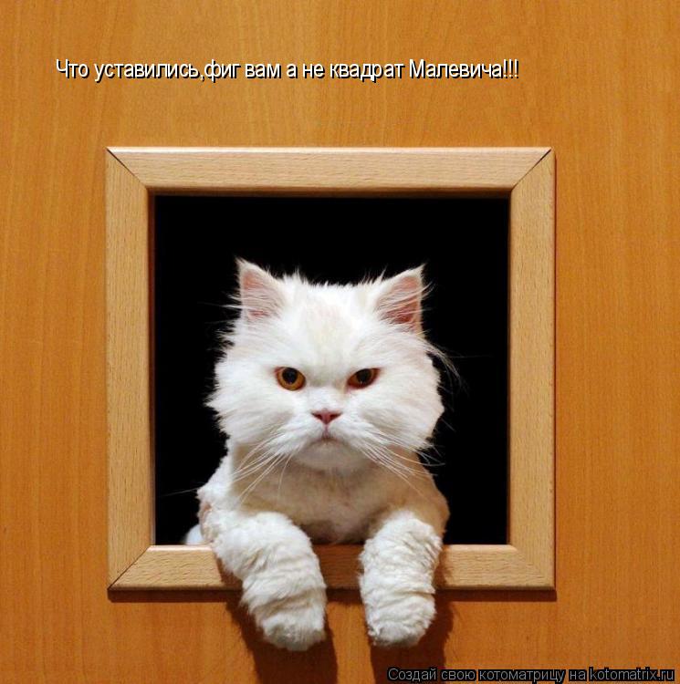 Что уставились,фиг вам а не квадрат Малевича!!!... Котоматрица: Что уставились,фиг вам а не квадрат Малевича!!!
