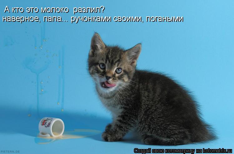 А кто это молоко разлил? наверное, папа... ручонками своими, погаными... Котоматрица: А кто это молоко разлил? наверное, папа... ручонками своими, погаными