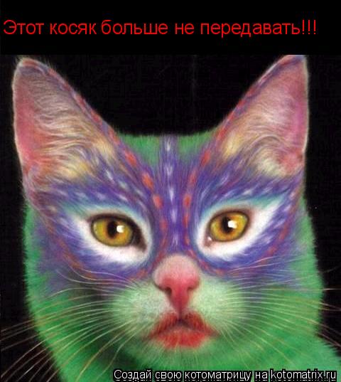 Котоматрица: Этот косяк больше не передавать!!!