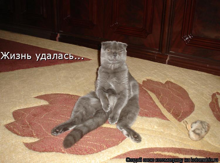 Котоматрица: Жизнь удалась...