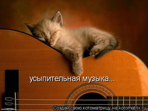 усыпительная музыка...... Котоматрица: усыпительная музыка...