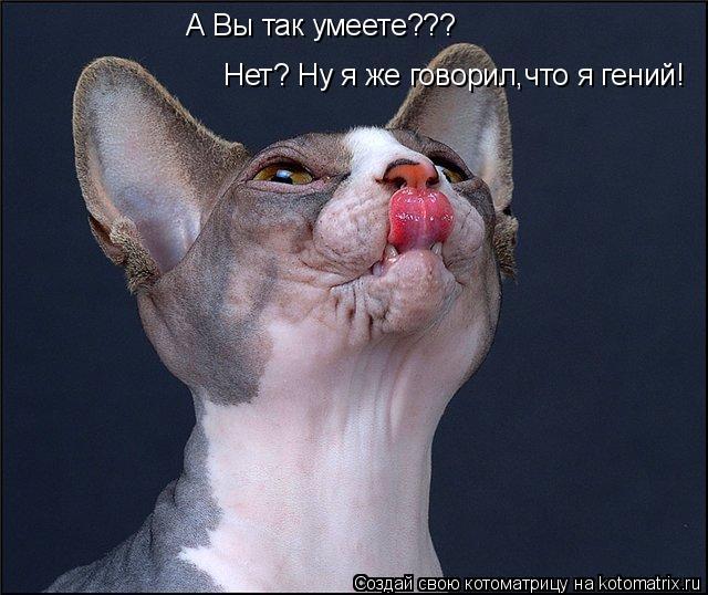 А Вы так умеете??? Нет? Ну я же говорил,что я гений!... Котоматрица: А Вы так умеете??? Нет? Ну я же говорил,что я гений!