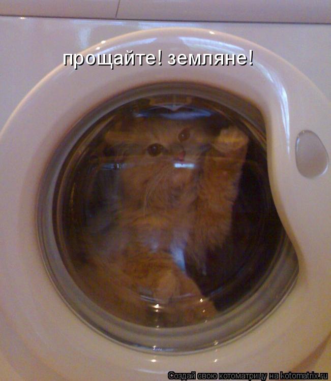 прощайте! земляне!... Котоматрица: прощайте! земляне!