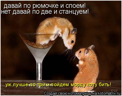 Котоматрица: давай по рюмочке и споем! нет давай по две и станцуем! уж лучше по три и пойдем морду коту бить!