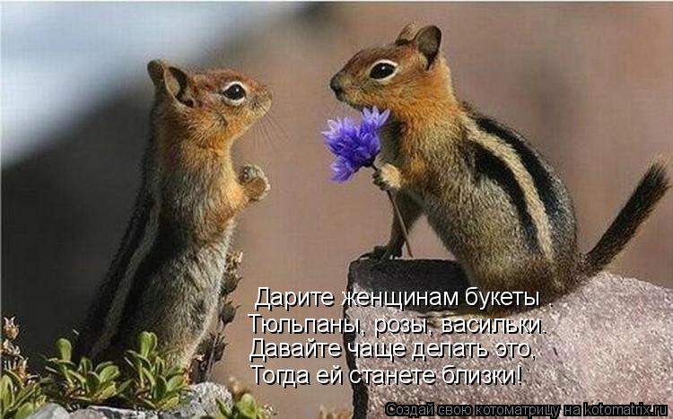 Дарите женщинам букеты – Тюльпаны, розы, васильки. Давайте чаще делать это, Тогда ей станете близки... Котоматрица: Дарите женщинам букеты – Тюльпаны, розы, васильки. Давайте чаще делать это, Тогда ей станете близки!