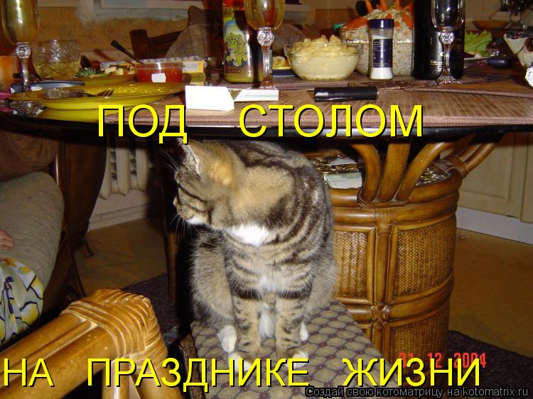 ПОД СТОЛОМ НА ПРАЗДНИКЕ ЖИЗНИ... Котоматрица: ПОД СТОЛОМ НА ПРАЗДНИКЕ ЖИЗНИ