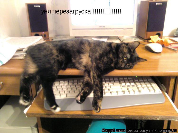уня перезагруска!!!!!!!!!!!!!!!!... Котоматрица: уня перезагруска!!!!!!!!!!!!!!!!