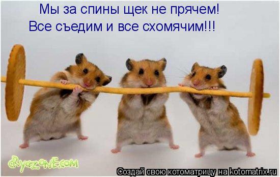 Котоматрица: Мы за спины щек не прячем! Все съедим и все схомячим!!!